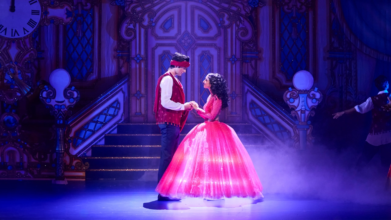 Website Image 06 _ Surinderella
