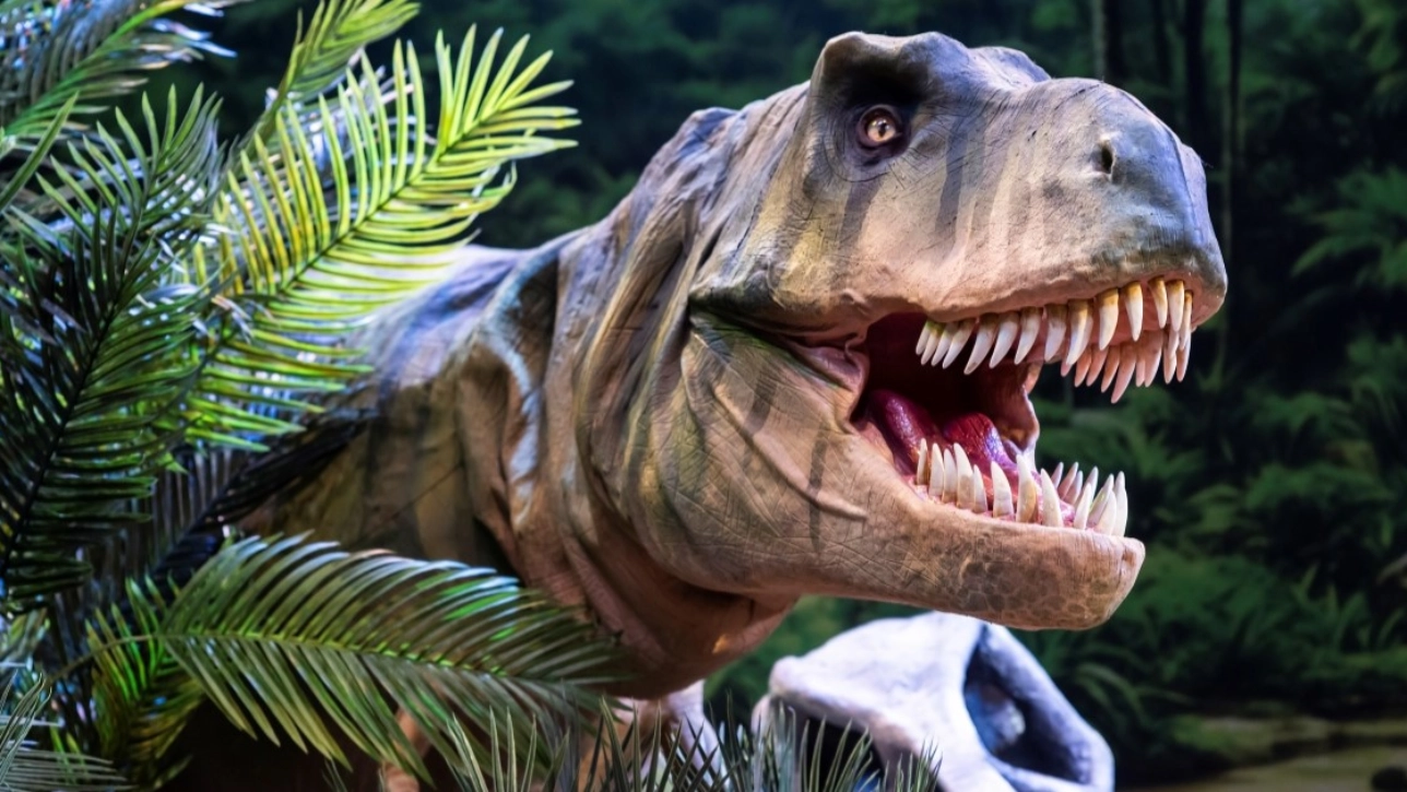 Dinosaurs Live 2