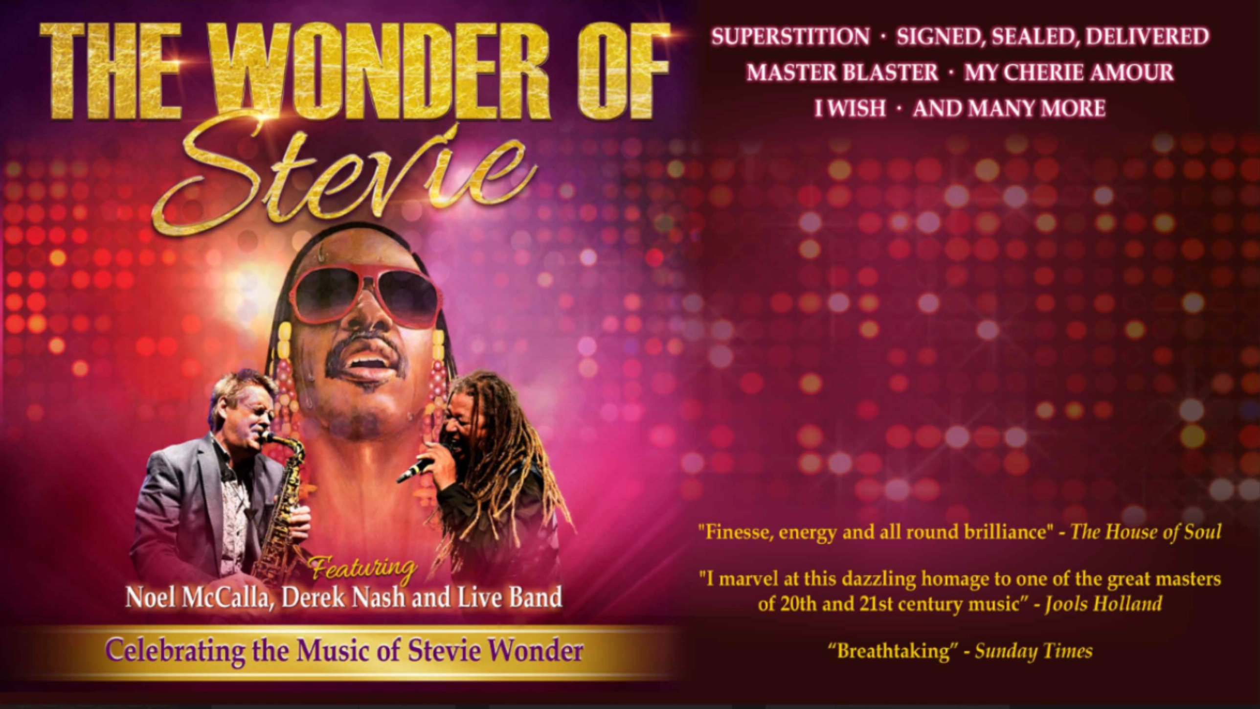 The Wonder of Stevie