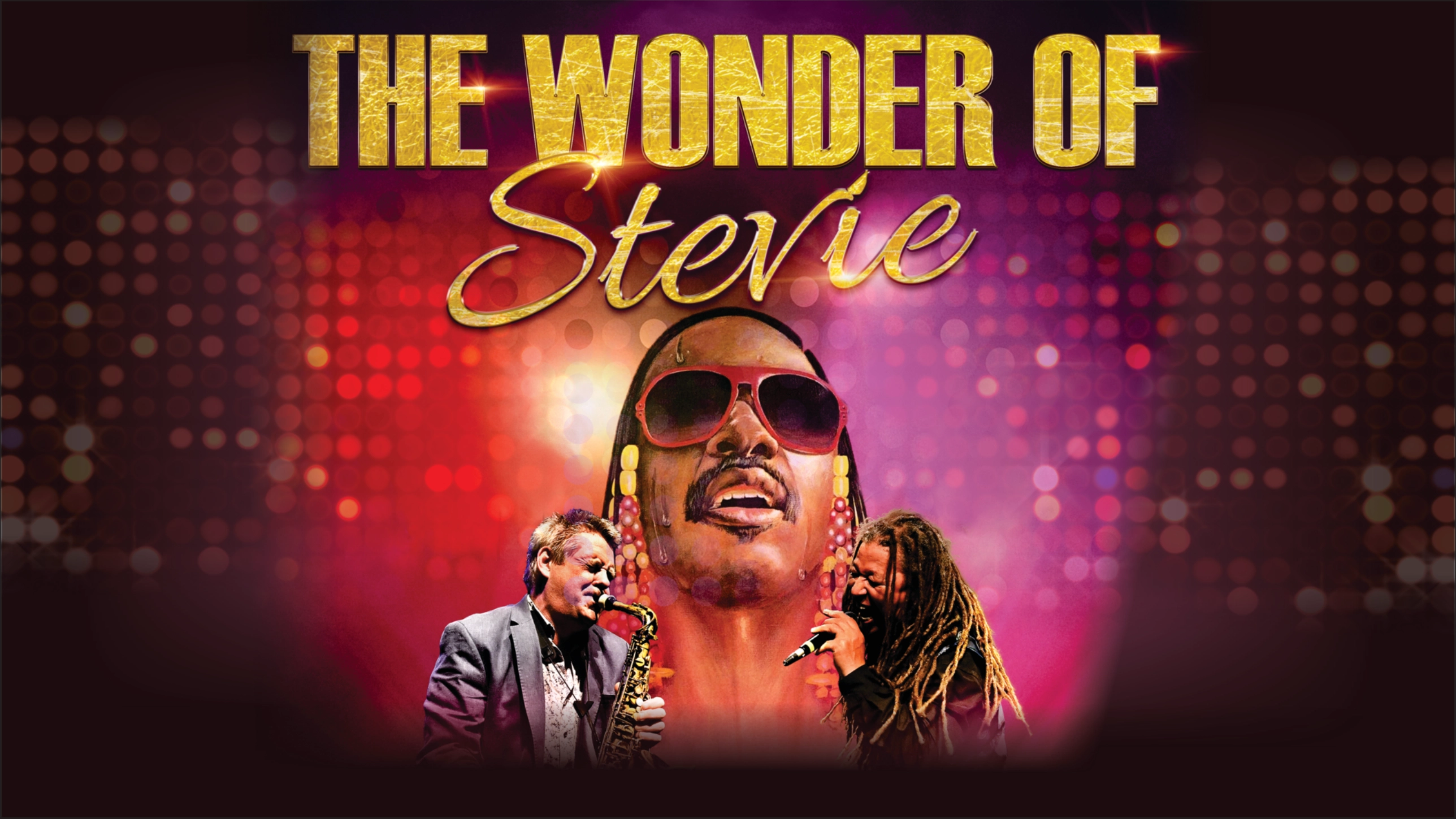 The Wonder of Stevie