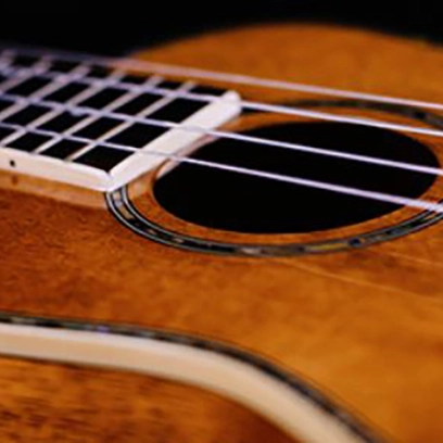 Ukulele - Beginners