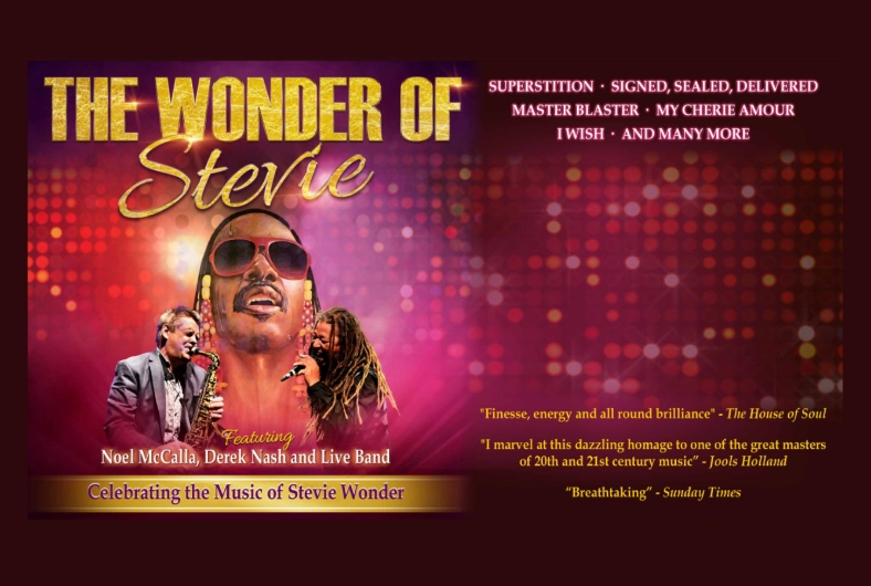The Wonder of Stevie