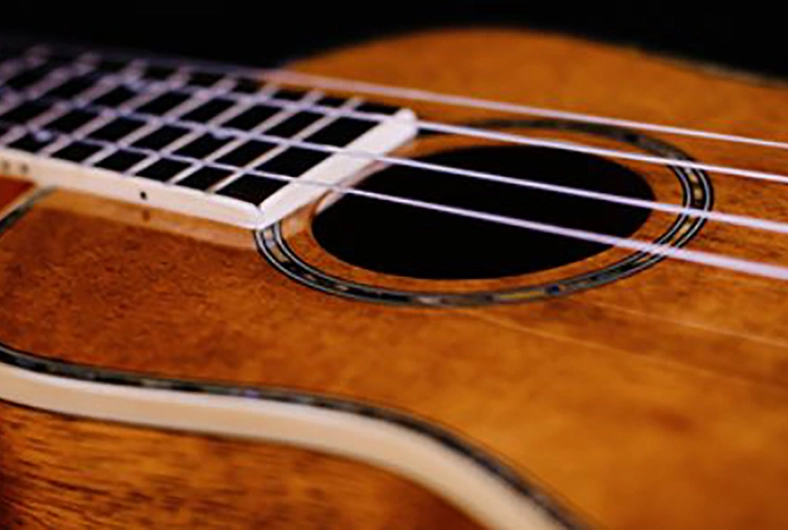 Ukulele - Beginners