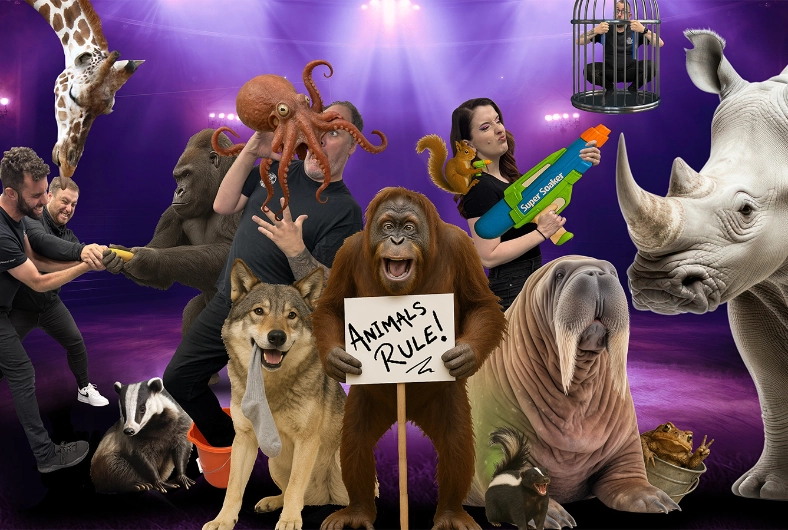 The Animal Guyz: Amazing Animals