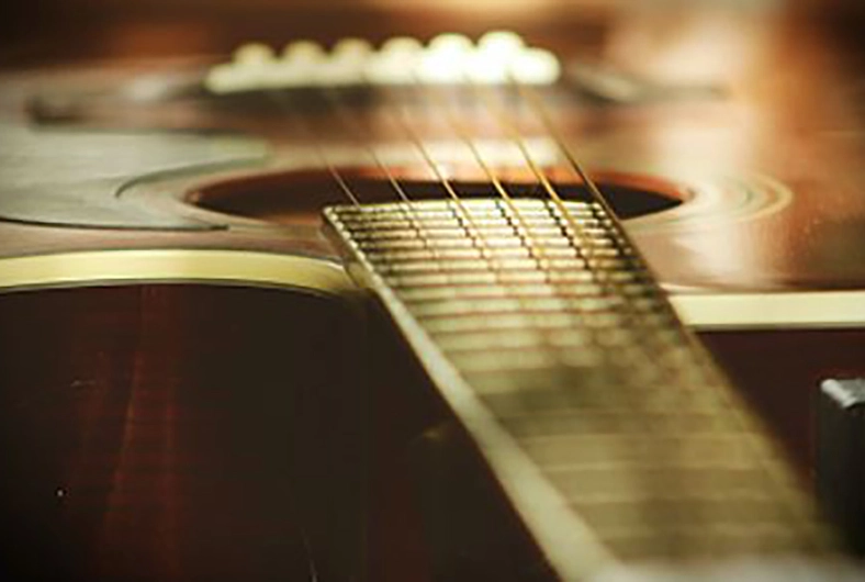 Acoustic Guitar*