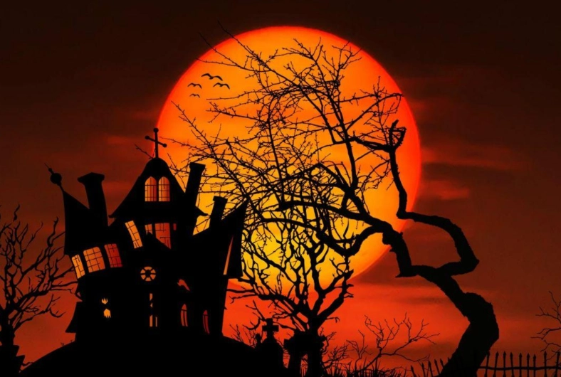 Maidstone Museum: Halloween Party For Kids