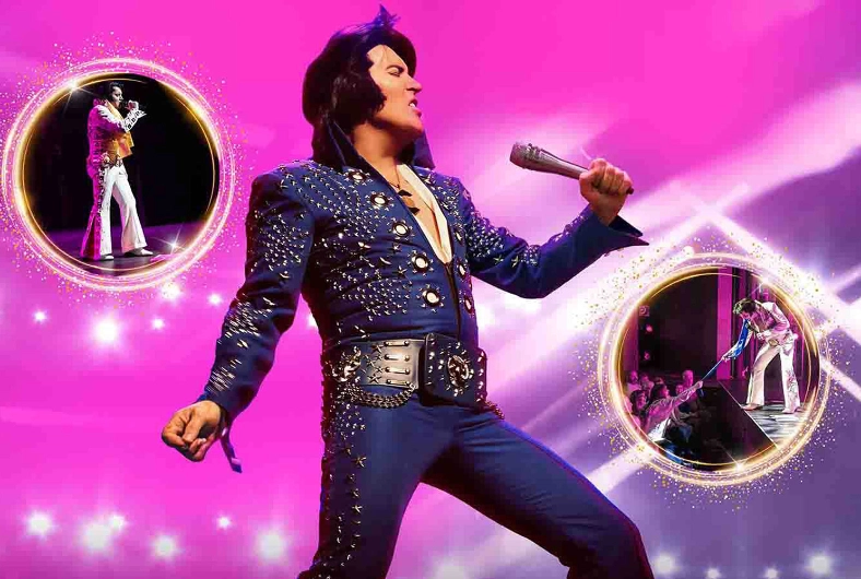 A Vision of Elvis