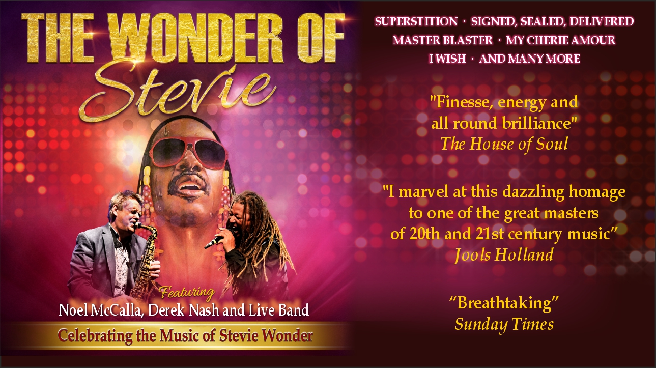 Wonder of Stevie